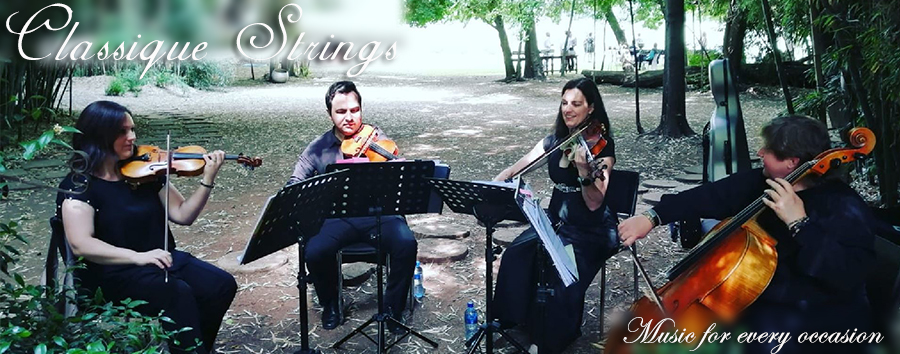 Find out more about the members of the string quartet Classique Strings. This dynamic Johannesburg based string quartet performs at weddings and functions in and around Gauteng